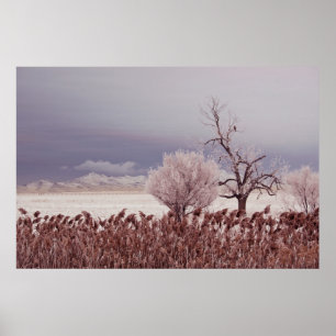 Bevroren uitzicht op Antelope Island - Utah - Post Poster