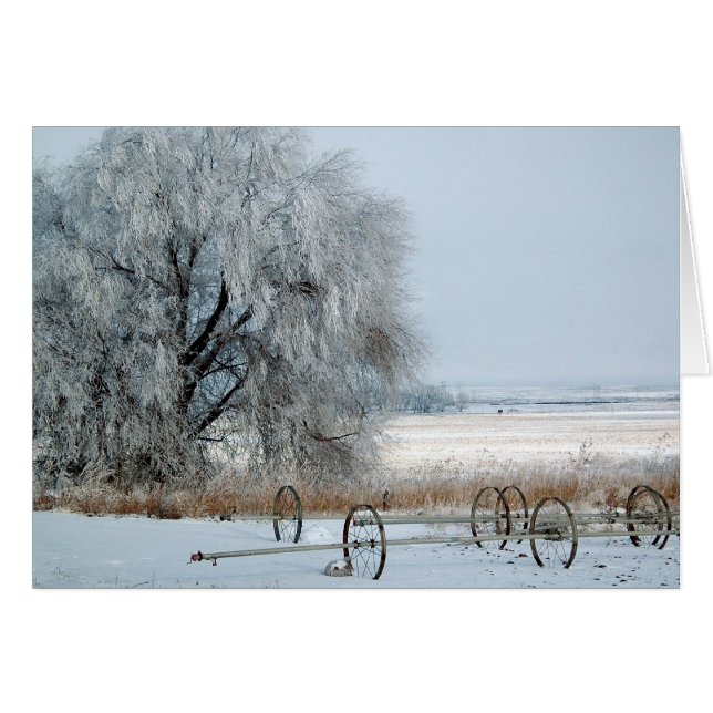 Bevroren veld (Voorkant Horizontaal)