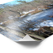 Bevroren "Wetlands Pond" Foto Afdruk (Hoek)