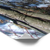 Bevroren "Wetlands Pond" Poster (Hoek)