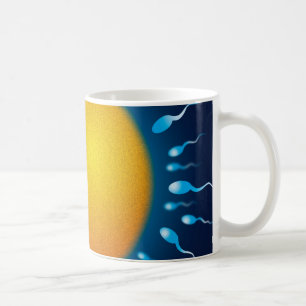 Bevruchting Koffiemok