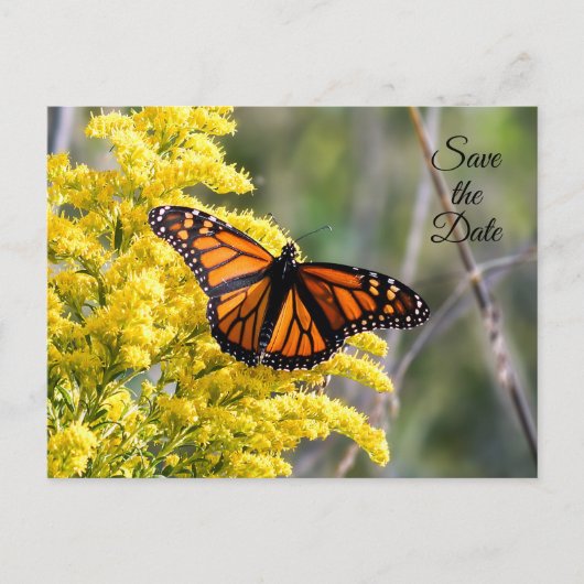 Bewaar de datum Monarch Butterfly Briefkaart (Voorkant)