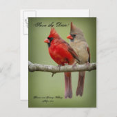 Bewaar de datum voor uw bruiloft / kardinaal paar aankondigingskaart (Voorkant / Achterkant)