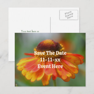Bewaar de datum Zinnia bloem gepersonaliseerd Aankondigingskaart