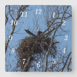 Bewaking Eagle wandklok Vierkante Klok