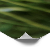 Bewakingspapieren Poster (Hoek)