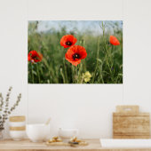 Bewakingspapieren Poster (Keuken)