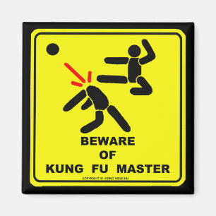 BEWARE VAN KUNG FU MASTER MAGNEET