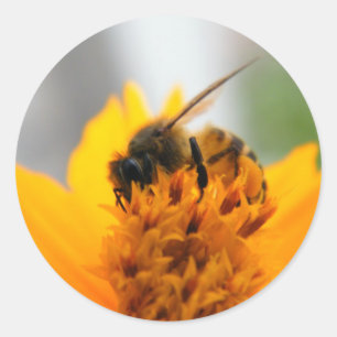 Bewaren bij mij ronde sticker