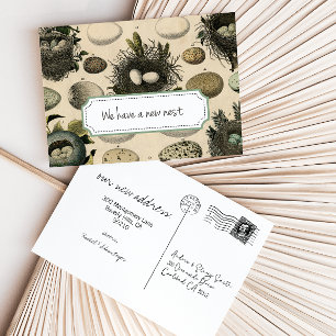 bewegende aankondiging // Bird