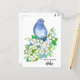 Bewegende aankondiging Idaho Mountain Bluebird Flo Briefkaart
