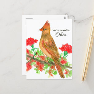 Bewegende Aankondiging Ohio Kardinaal Rode Anjers Briefkaart
