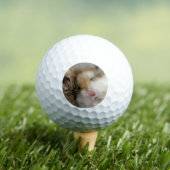 Beweging over Bob Golfballen (Insitu Shirt)