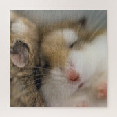 Beweging over Bob Legpuzzel (Verticaal)