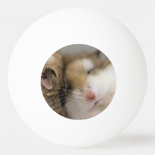 Beweging over Bob Pingpongballen (Voorkant)