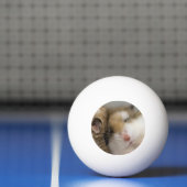 Beweging over Bob Pingpongballen (Net)