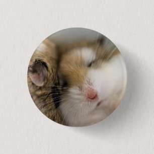Beweging over Bob Ronde Button 3,2 Cm