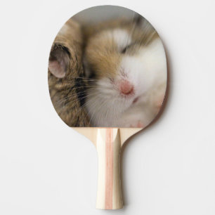 Beweging over Bob Tafeltennisbatje