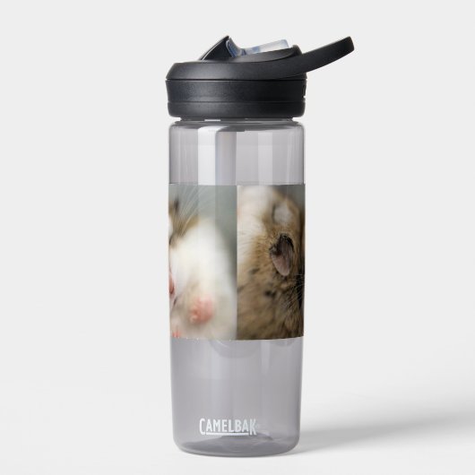 Beweging over Bob Waterfles (Links)