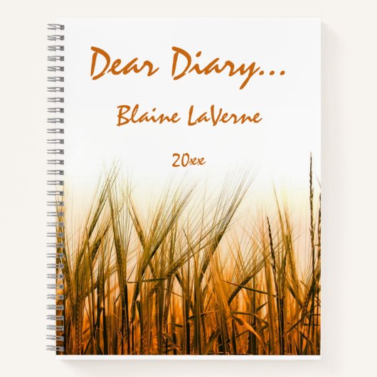 Bewerkbaar Dear Diary Journal Notitieboek (Voorkant)
