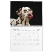 Bewerkbare 20xx honden kalender (Feb 2026)