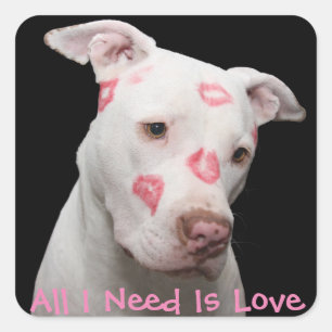 Bewerkbare Pitbull Lover Vierkante Sticker