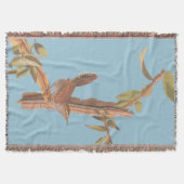 Bewick's langgetrapt monistische vogeltje deken (Voorkant)