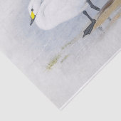 Bewick's zwaan, Vogelillustratie Tissuepapier (Detail)