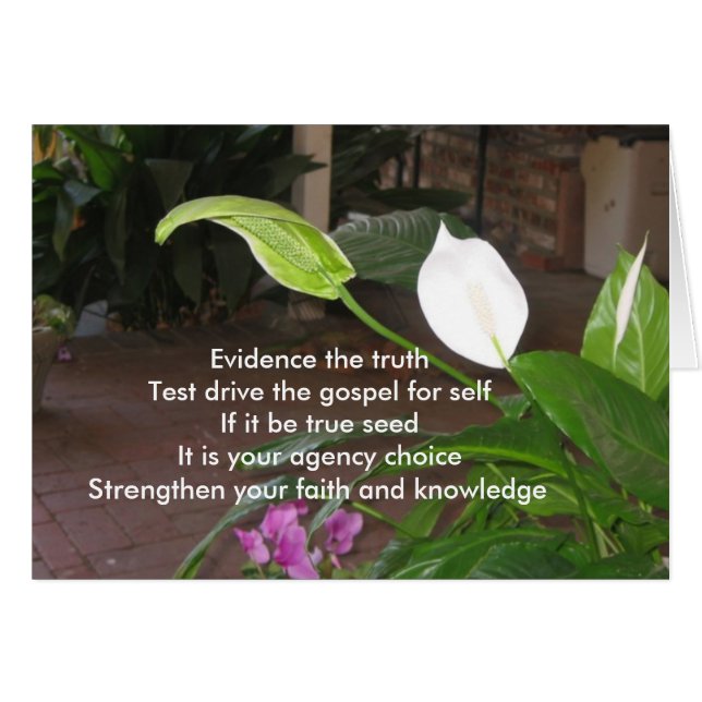 Bewijs van de waarheid (Voorkant Horizontaal)