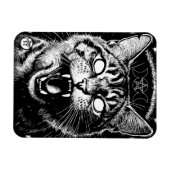 Bewitched Tabby Magneet (Horizontaal)