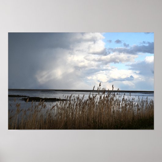 bewolkt dag waterschap Poster (Voorkant)