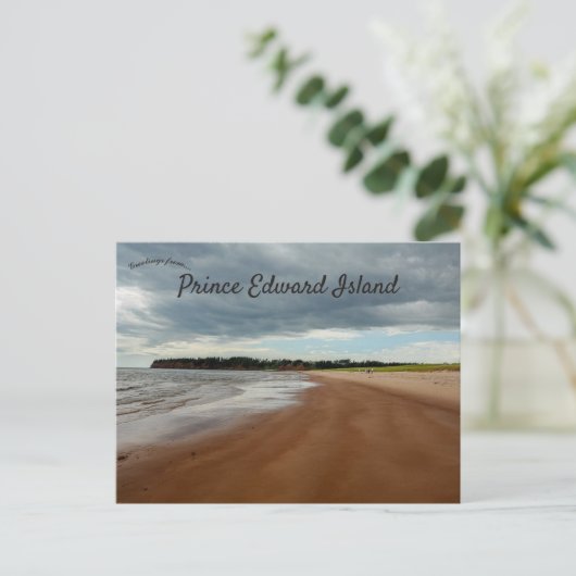 bewolkte dag op een strand op Prince Edward Island Briefkaart (Staand voorkant)