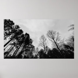 bewolkte lucht, poster