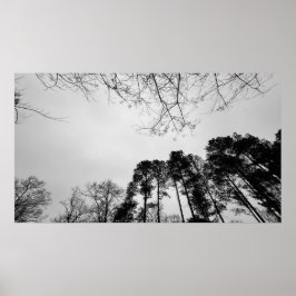 bewolkte lucht, poster