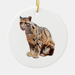 bewolkte luipaard foto jungle grote kat dier keramisch ornament