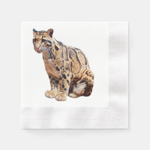 bewolkte luipaard foto jungle grote kat dier   servet
