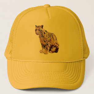 bewolkte luipaard foto jungle grote kat dier trucker pet