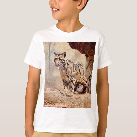 bewolkte luipaard foto natuur natuurleven exotisch t-shirt (Voorkant)