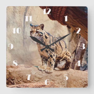 bewolkte luipaard foto natuur natuurleven exotisch vierkante klok