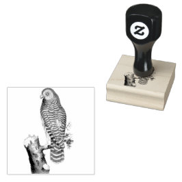 Bewolkte Uil op tak Illustratie Rubberstempel