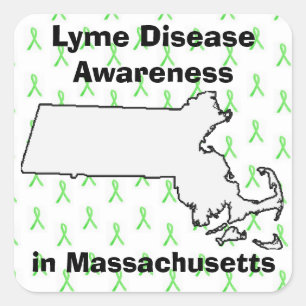 Bewustmaking van de ziekte van Lyme in Massachuset Vierkante Sticker