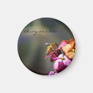 Bezig als een bijenbeloning... magneet