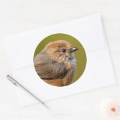 Bezig in de lente ronde sticker (Envelop)