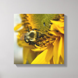 Bezige Bij op een Zonnebloem Canvas Afdruk