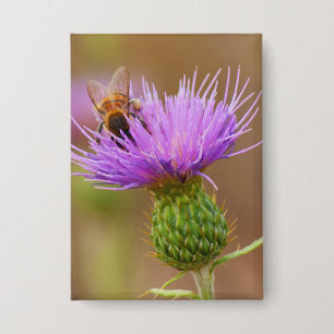 Bezige bijen op Paarse Thistle Clsoe-up-foto Button