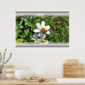 bezige bijen op witte bloem poster (Keuken)