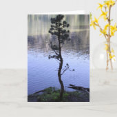 Bezinning over het water kaart (Gele Bloem)