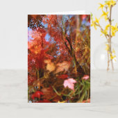 Bezinningen Kaart (Gele Bloem)