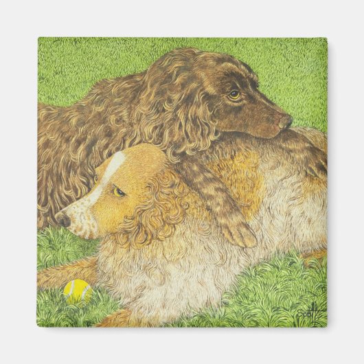 BEZIT MAGNEET (Voorkant)