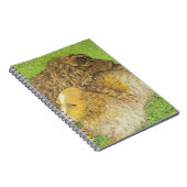Bezit Notitieboek (Rechterzijde)